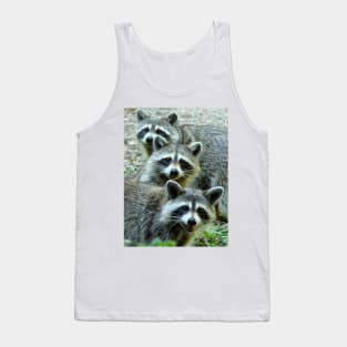 Three Raccoon Tank Top